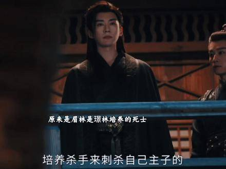 原来眉林竟是璟林训练的死士,他从没想过她能活下去!