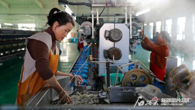 10月16日，在新疆丝锦丝绸纺织有限公司生产车间，工人正在自动缫丝机上查看蚕茧情况。道·道图那摄