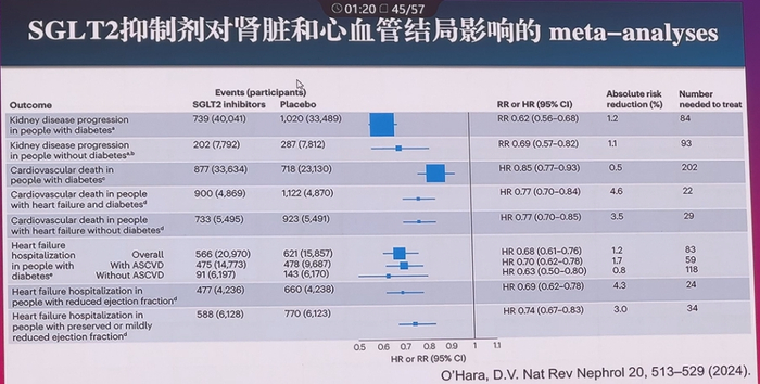 图6 SGLT2抑制剂对肾脏和心血管结局影响的meta分析