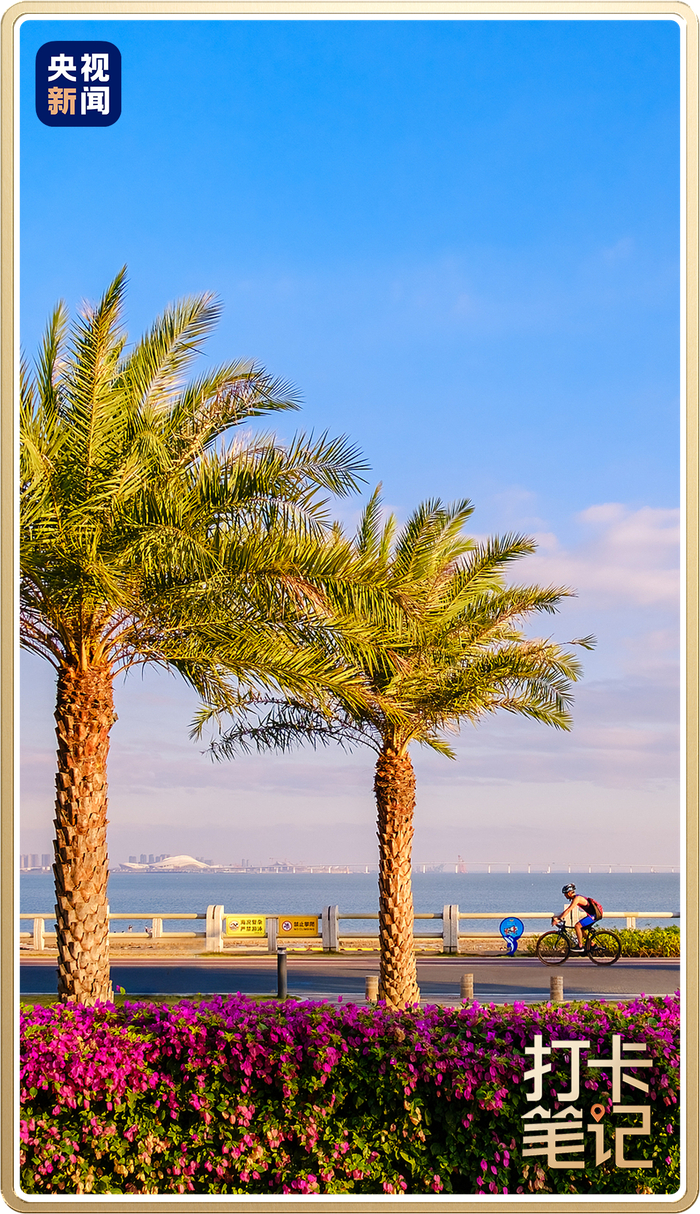 △同安环东海域风光