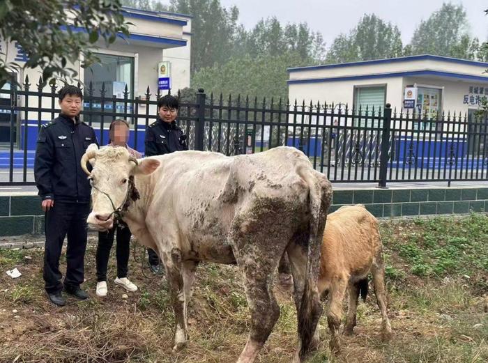 關于廣安門中醫院黃牛檢查加急代掛號名醫黃牛掛號的信息