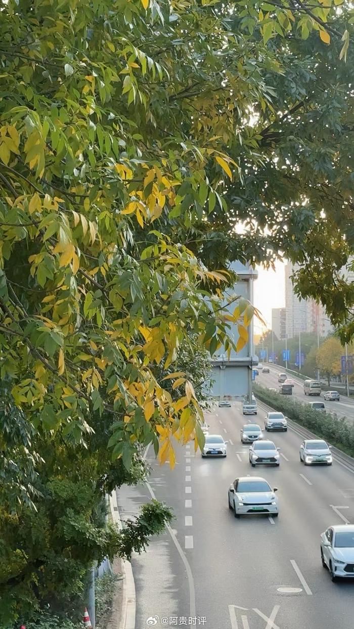 站在属于自己的高度，看自己该看的风景，别让任何人消耗你内心的晴朗…