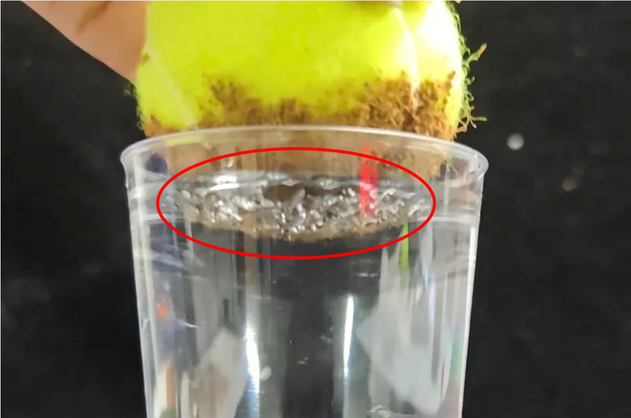 什么原理?|水分子_新浪新闻