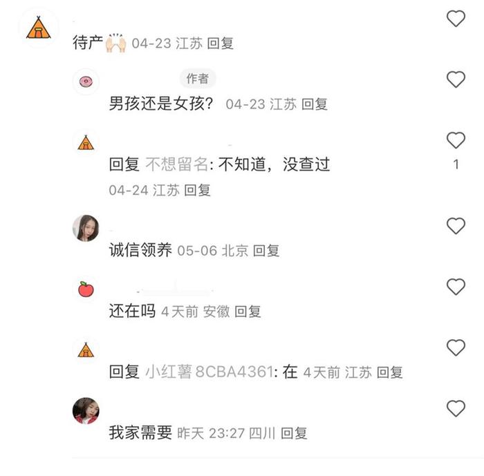 今年5月网络平台上的领养送养信息 (网络截图)