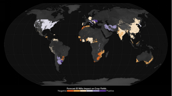 厄尔尼诺对主要商品作物的预计影响，该地图是基于对1961年至2020年历史作物产量和气候数据的分析。图片来源：NOAA