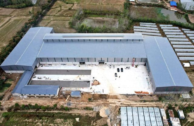 机械烘干助力粮食颗粒归仓。（高店镇人民政府供图）