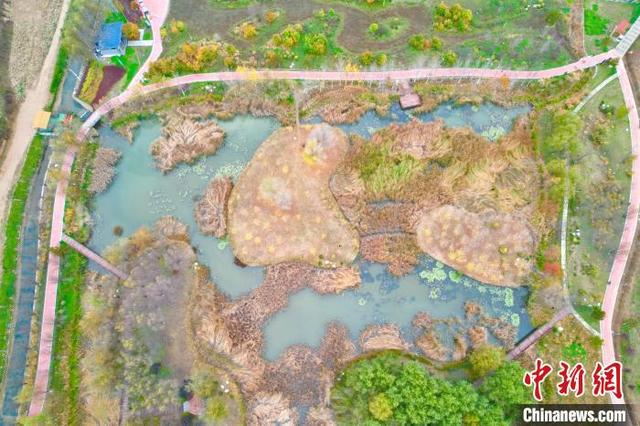 图为湿地公园一角。（无人机照片）中新社记者 张远 摄
