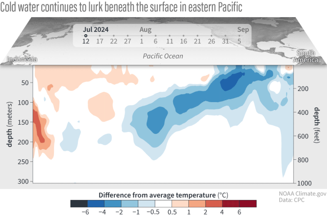 2024年7月12日至9月9日，在赤道的热带太平洋表面下，一个比平均温度低（蓝色）的冷水池正在形成。图片来源：NOAA