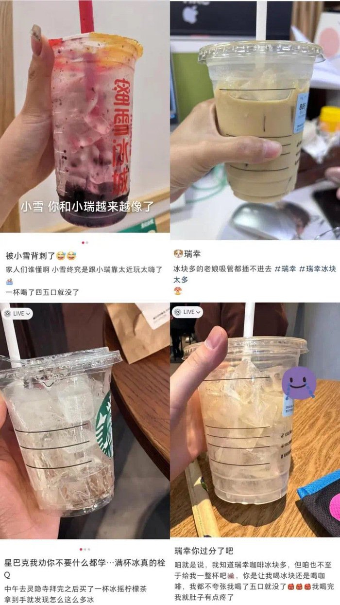 图片来源：小红书@liz & 小红书@幺幺 & 小红书@苦瓜nono & 小红书@小白