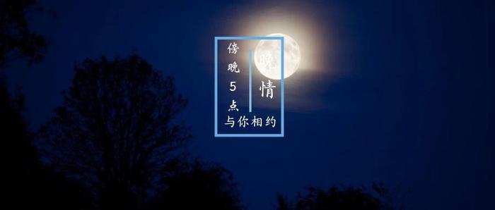 《霸道总裁爱上绝经的我》风靡全网：背后的真相是这“这3个字”！