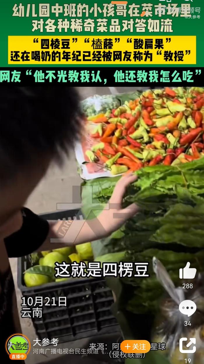 小孩哥厉害啦！父母的培养方式值得学习，这是一种正向作用的学习方法