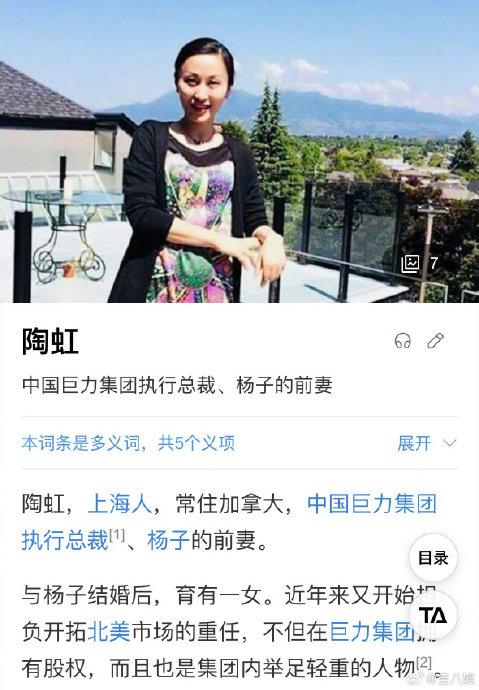 因为杨子前妻也叫陶虹