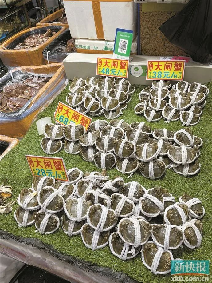 黄沙市场一档口出售的大闸蟹。新快报记者 许力夫/摄