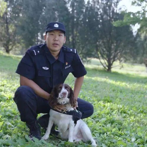 北京女子警犬队图片