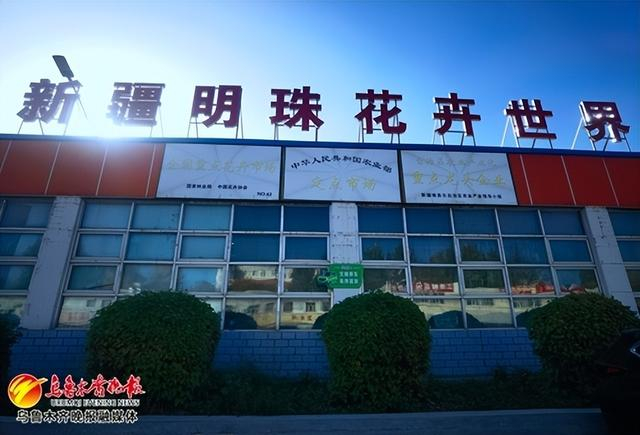 　　明珠花卉市场鲜花交易1号大厅大门口悬挂各类荣誉奖牌。记者李宁艳摄