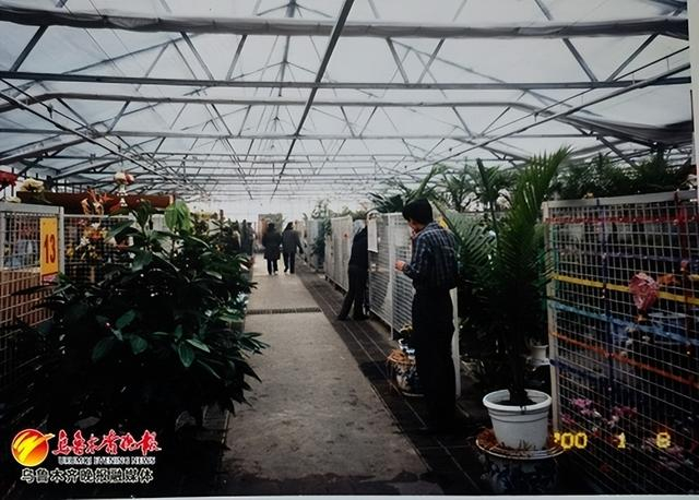 　　2000年1月8日的明珠花卉市场鲜花交易2号厅。受访者供图