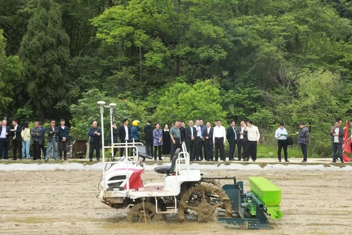 此次活动是黄埔区·长顺县东西部协作水稻单产超高产攻关项目主要内容