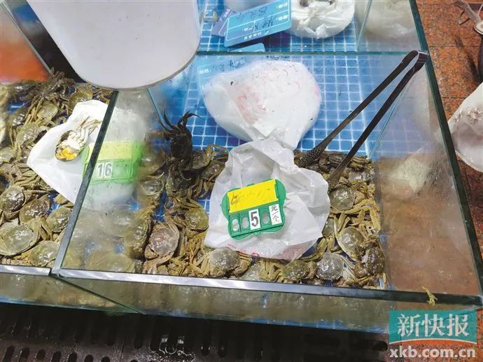 荔湾区江楠荔塱市场里，最便宜的大闸蟹价格为5元。新快报记者 陈洁/摄
