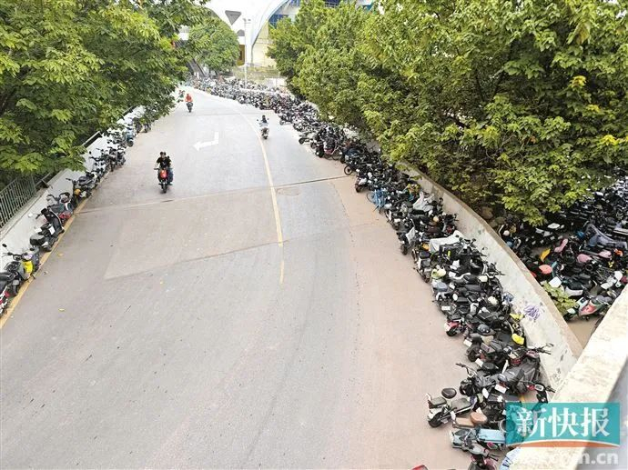 地铁坑口站附近，电动自行车越过马路黄线，停放至马路两侧。