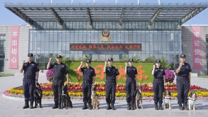 北京女子警犬队图片