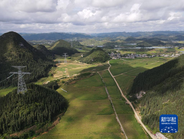 9月初，位于兴仁市屯脚镇的粤港澳大湾区高质量发展优质薏仁米育繁推一体化基地。新华社记者 陈嫱 摄