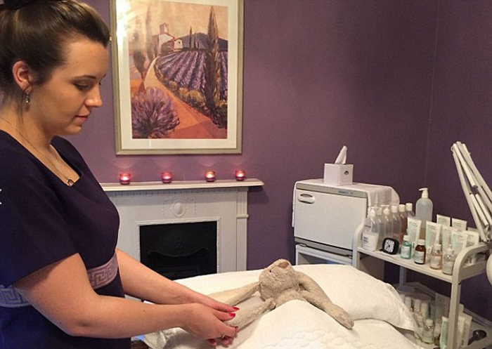 酒店工作人员给走丢的邦尼兔做SPA