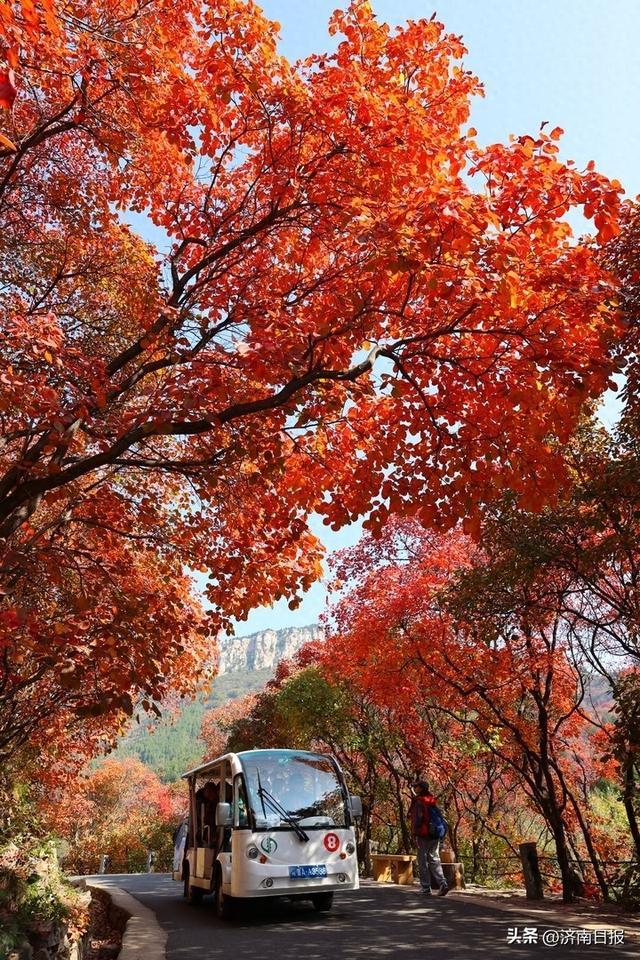 济南红叶谷介绍图片