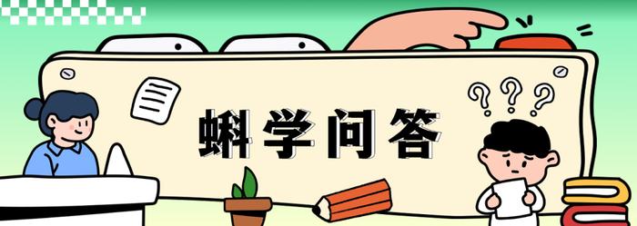 麝香真的会让人流产或不孕吗？