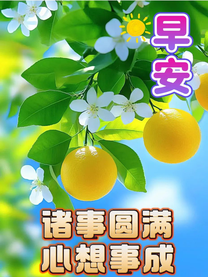 2024年10月26日最新早上好祝福语图片大全 精选早安问候祝福图片带字__财经头条