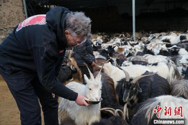 图为外国嘉宾体验喂羊。中新社记者 马铭言 摄 