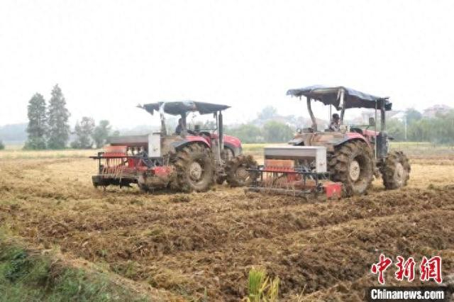 图为在江西省南昌市南昌县，农户正忙着对刚收割完的田块进行翻耕。 刘赵炜 摄