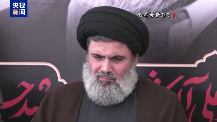 △萨菲丁（资料图）