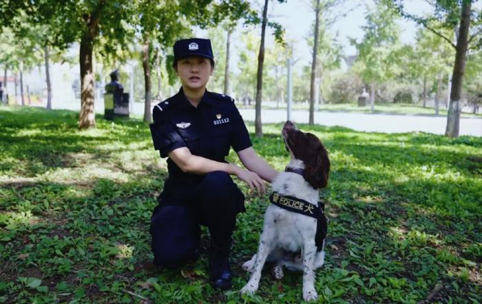 北京市警犬基地的队长图片