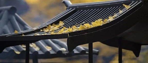 七言 | 再过2个月，就是2025了