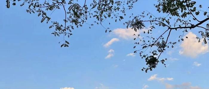 弘一法师说：“心软之人，便是无福之人。”一句话振聋发聩！