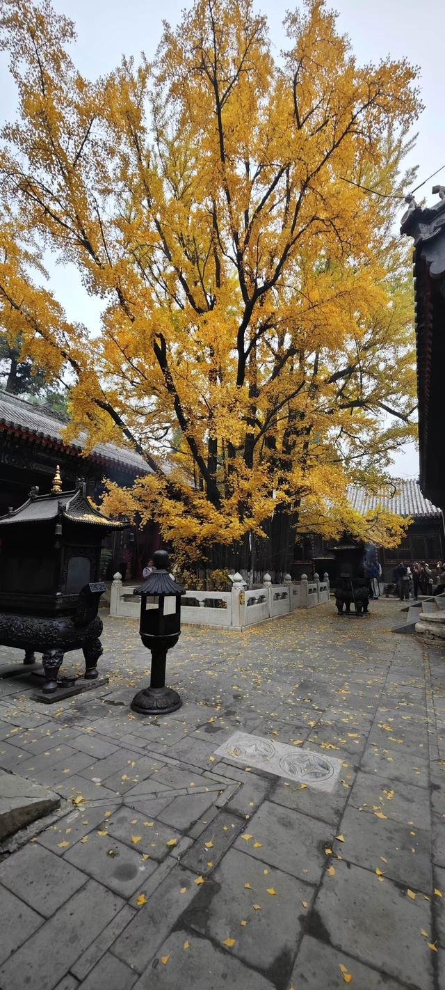 大悲寺北京图片