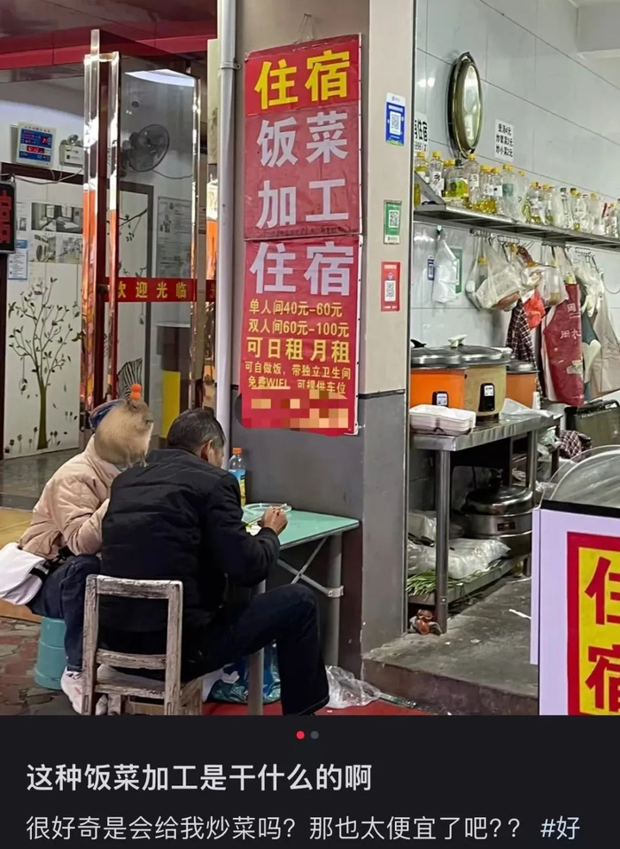 图源：蔡蔡在路上