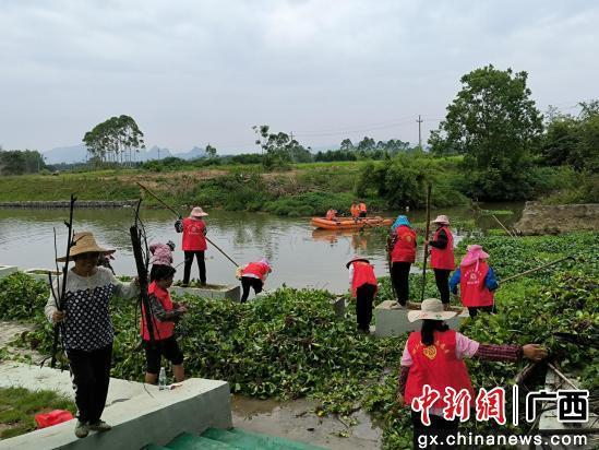 回龙镇干群齐心参与珊瑚河整治清理工作。 回龙镇政府 供图