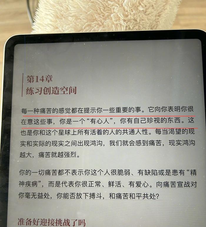 「每一种痛苦的感觉都在提示你一些重要的事