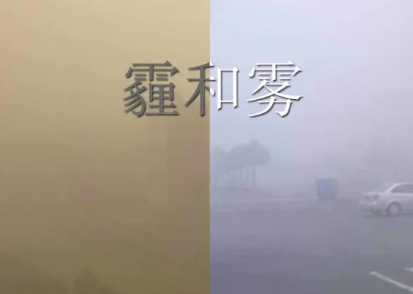 图/上海疾控