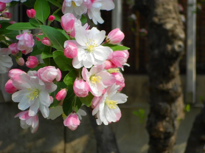 图库版权图片，转载使用可能引发版权纠纷