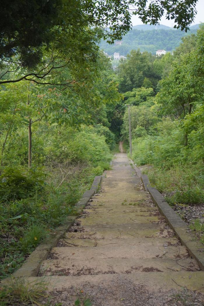 山下是张玲（化名）现在居住的地方，重获自由后，她常常走在这条小路上。新京报记者 左琳 摄