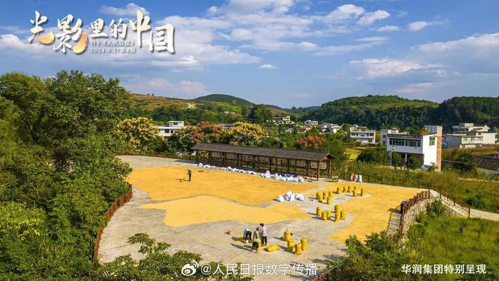 每日晨语 滋养自己，从这4件事开始