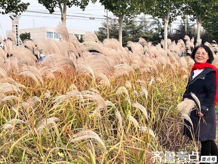 我的田野，秋的哀歌
