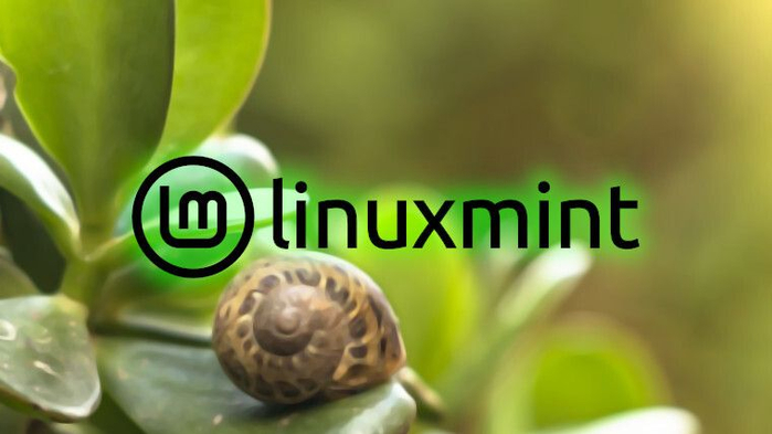 Linux Mint 正为 Cinnamon 桌面环境添加 Night Light 原生支持__财经头条__新浪财经