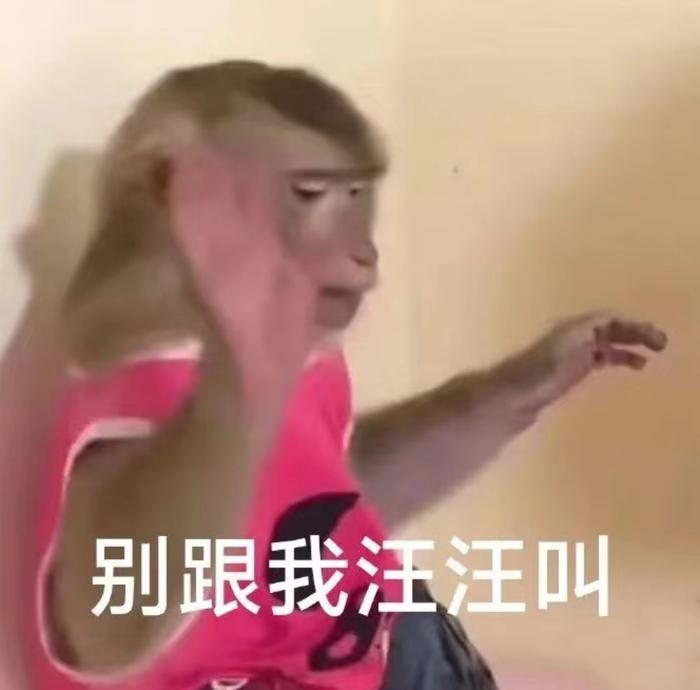 吗喽表情包更新…