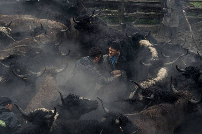 第34届中国新闻奖揭晓 封面新闻摄影作品获奖