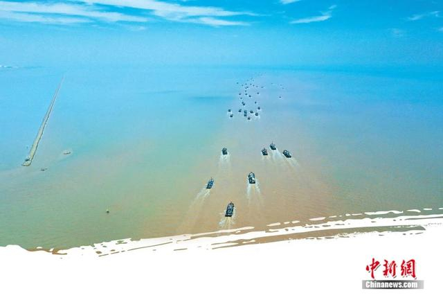 滨州海洋资源丰富。滨州市委宣传部供图