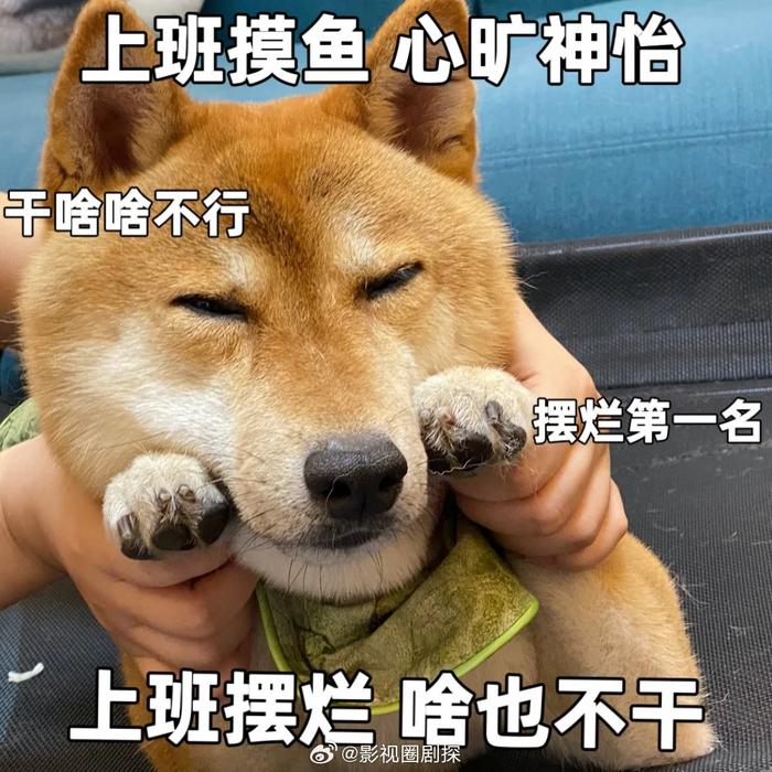 生活真的是有一万种不同的生活方式吧…