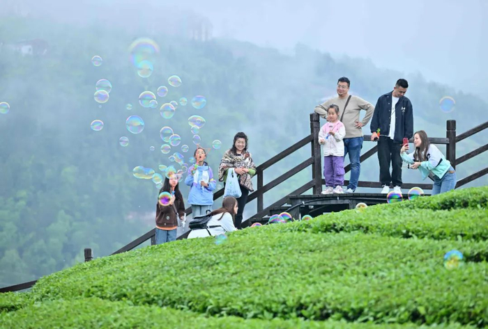 游客在茶园快乐游玩（全媒体记者 陈绪开 摄）